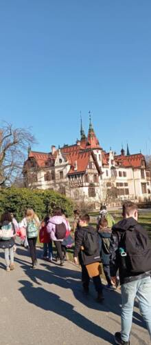 IMG_20250321_153047