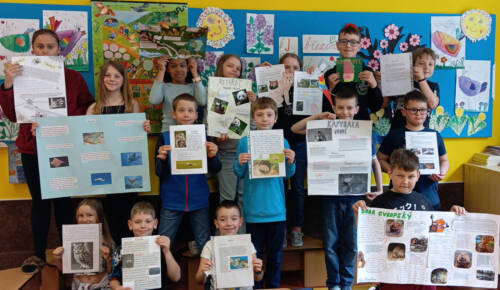 IMG_20250515_123139_1