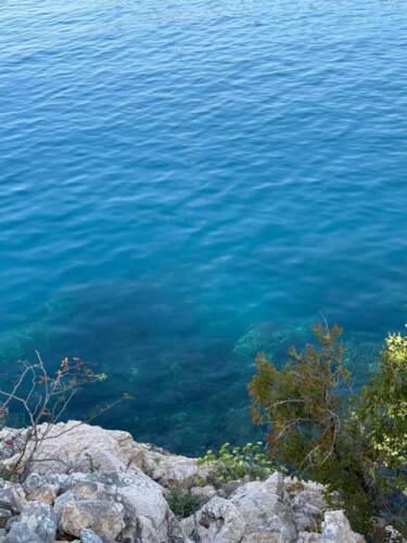 Obrázek WhatsApp, 2025-09-09 v 15.00.55_10622273