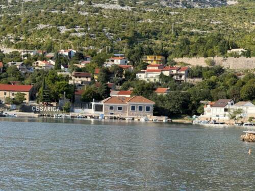 Obrázek WhatsApp, 2025-09-12 v 19.53.12_28b5ce27