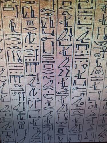 Obrázek WhatsApp, 2025-09-26 v 12.28.34_f8bbacb3