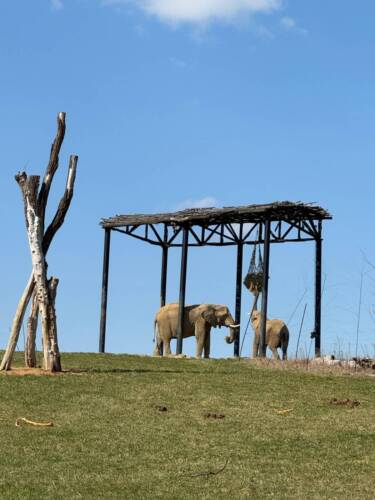 WhatsApp Image 2026-03-23 at 15.28.27 (4)